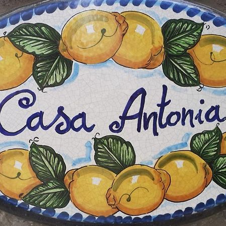 Appartamento Casa Antonia Anacapri  Esterno foto
