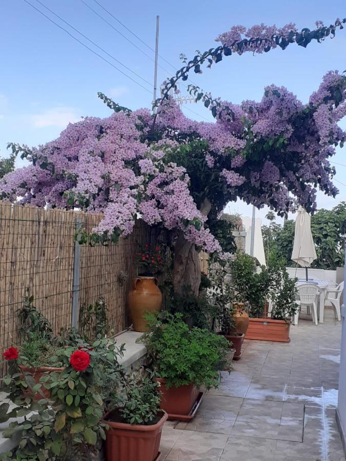 Appartamento Casa Antonia Anacapri  Esterno foto